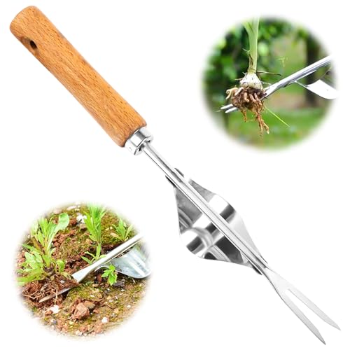Unkrautstecher Edelstahl, Handjätgerät für den Garten, Unkrautstecher Edelstahl, Manueller Weeder Wurzeljäter mit Holzgriff, Manueller Weeder zum Graben, Jäten, Lösen von Wvu & Wvo