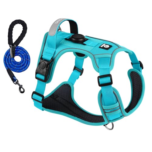 WwuHua Hundegeschirr mit 1.5m Leine, AirTag-Positionierungshülse, Reflektierende Streifen, Atmungsaktives Mesh-Material, Blau (S) WwuHua Hundegeschirr mit 1.5m Leine, AirTag-Positionierungshülse, Reflektierende Streifen, Atmungsaktives Mesh-Material, Blau (S) von WwuHua