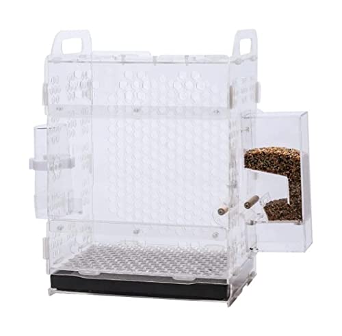 Vogelkäfig Große Vogelträger Acryl-Vogelkäfige Haustierprodukte Flugkäfig Papageienvogelkäfig Tragbarer, langlebiger Vogelhausträger für die Terrasse Tragbar Vogelkäfig Große Vogelträger Acryl-Vogelkäfige Haustierprodukte Flugkäfig Papageienvogelkäfig Tragbarer, langlebiger Vogelhausträger für die Terrasse Tragbar von WxuuLTGJR