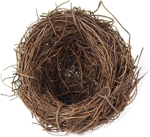 Ostern Vogelnest Anti-Kratzer Dekorative Leichte Ei Dekoration Prop Ostern Vogelnest Kompatibel mit Kunsthandwerk 6cm, Künstliche Blumen Künstliche Pflanzen Und Blumen Ostern Ostern Vogelnest Anti-Kratzer Dekorative Leichte Ei Dekoration Prop Ostern Vogelnest Kompatibel mit Kunsthandwerk 6cm, Künstliche Blumen Künstliche Pflanzen Und Blumen Ostern von Wyjuan