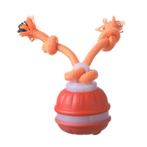 Wynrzyj Jumping Hundeballspielzeug Spielzeug ABS Chew Proof Design Stimuliert Training Reduziert Bordom Für Aktive Elektro Hundespielzeug Mit Automatischer Sprungbewegung Wynrzyj Jumping Hundeballspielzeug Spielzeug ABS Chew Proof Design Stimuliert Training Reduziert Bordom Für Aktive Elektro Hundespielzeug Mit Automatischer Sprungbewegung von Wynrzyj