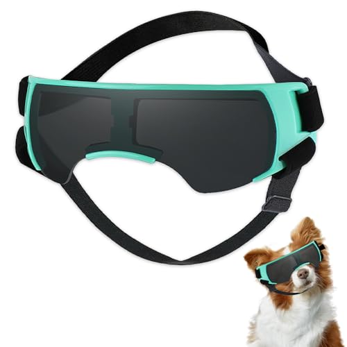 Wzhtuzi Hunde Sonnenbrille, UV Schutzbrille Augenschutz Brille Windschutzbrille Hundebrille für Haustiere mit Einstellbar Gummiband für Kleine Hunde im Freien, Schwarz & Grün Wzhtuzi Hunde Sonnenbrille, UV Schutzbrille Augenschutz Brille Windschutzbrille Hundebrille für Haustiere mit Einstellbar Gummiband für Kleine Hunde im Freien, Schwarz & Grün von Wzhtuzi