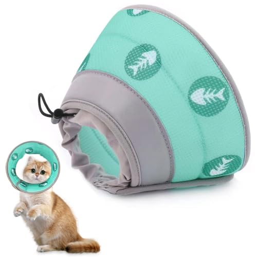 Wzhtuzi Halskrause Katze, Schützende Halskrause Katze, Katze Halsband Weich Einstellbarer Halskrause, Genesungshalsband für Hunde und Katzen nach Operationen und Verletzungen(Grün, S) Wzhtuzi Halskrause Katze, Schützende Halskrause Katze, Katze Halsband Weich Einstellbarer Halskrause, Genesungshalsband für Hunde und Katzen nach Operationen und Verletzungen(Grün, S) von Wzhtuzi