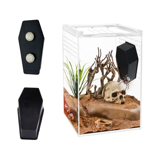 Springende Spinne Sarg mit Magneten für Haustier, Gehege Zubehör, Terrarium Dekoration, Versteck, Lebensraum Zubehör, 2 Stück von Wzttdm
