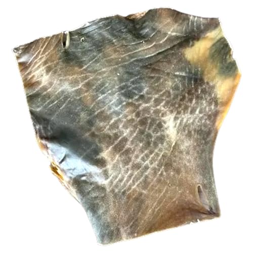 Kamelhautplatten, getrocknet, 1kg, hypoallergen, Kamel- Hautplatten, Kauartikel für Hunde, ohne jegliche Zusatzstoffe Kamelhautplatten, getrocknet, 1kg, hypoallergen, Kamel- Hautplatten, Kauartikel für Hunde, ohne jegliche Zusatzstoffe von X-CLASS