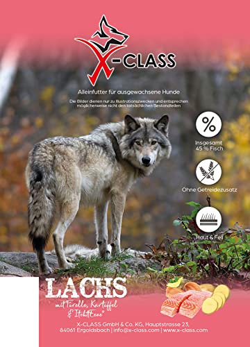 Lachs mit Forelle, Kartoffel & Itch-Eeze, getreidefreies Trockenfutter für ausgewachsene Hunde, 12kg von X-CLASS