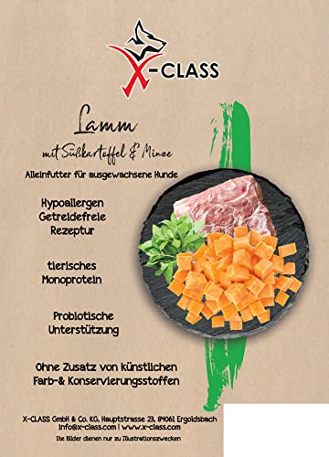 Lamm mit Süßkartoffel und Minze, Trockenfutter ohne künstliche Farb- und Konservierungsstoffe, getreidefrei für ausgewachsene Hunde, 12kg Lamm mit Süßkartoffel und Minze, Trockenfutter ohne künstliche Farb- und Konservierungsstoffe, getreidefrei für ausgewachsene Hunde, 12kg von X-CLASS
