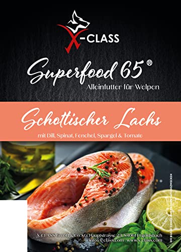 Schottischer Lachs mit Dill, Spinat, Fenchel, Spargel & Tomate, 6kg, High Premium Trockenfutter getreidefrei für Welpen und Junghunde von X-CLASS