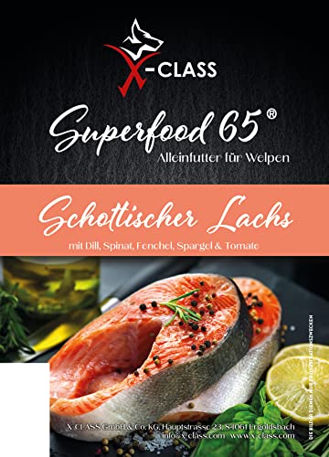 Schottischer Lachs mit Dill, Spinat, Fenchel, Spargel & Tomate, 6kg, High Premium Trockenfutter getreidefrei für Welpen und Junghunde von X-CLASS
