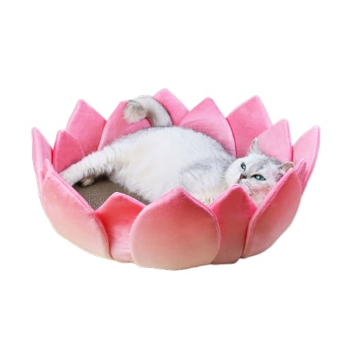 X-Institute Kratzbrett Für Kätzchen Wellpapier Kratzunterlage LotusShape Bett Katzen Schleifklaue Kratzbaum Katzenzubehör Katzenkratzunterlage Katzenbett Katzenkratzer X-Institute Kratzbrett Für Kätzchen Wellpapier Kratzunterlage LotusShape Bett Katzen Schleifklaue Kratzbaum Katzenzubehör Katzenkratzunterlage Katzenbett Katzenkratzer von X-Institute