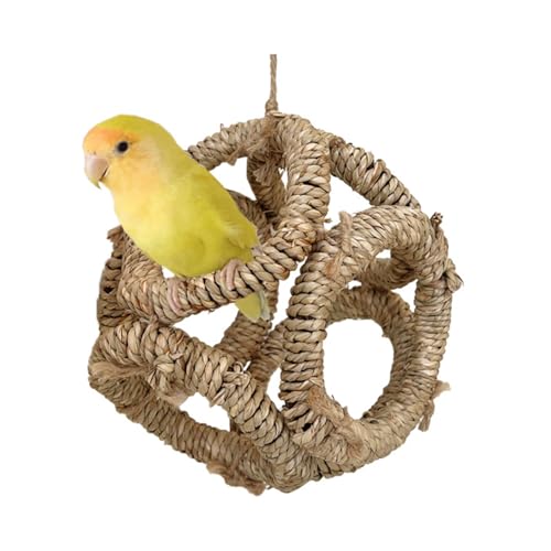 Vogelstrohkäfig Spielzeug Vogelstange Ringe Schaukel Kratzbaum Ast Sitzstange für Papageien Sittiche Spielzeug Ast Vogelkäfig Spielzeug Vogelschaukel für Sittiche Vogelstrohkäfig Spielzeug Vogelstange Ringe Schaukel Kratzbaum Ast Sitzstange für Papageien Sittiche Spielzeug Ast Vogelkäfig Spielzeug Vogelschaukel für Sittiche von X-Institute