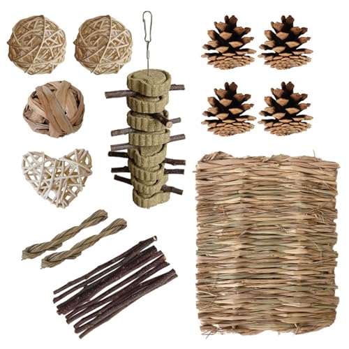 X-Institute Natürliches Holz Molar Stick Anzug Holz Kauen Kleintierspielzeug Haustier Übung Spielzeug für Chinchillas Vögel X-Institute Natürliches Holz Molar Stick Anzug Holz Kauen Kleintierspielzeug Haustier Übung Spielzeug für Chinchillas Vögel von X-Institute