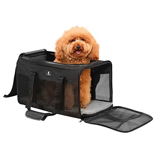 X-ZONE PET Airline Approved Soft-Sided Pet Travel Carrier for Dogs and Cats, Medium Cats Small Cats Carrier,Dog Carrier for Small Dogs, Portable Pet Travel Carrier (Large, Black) von X-ZONE PET
