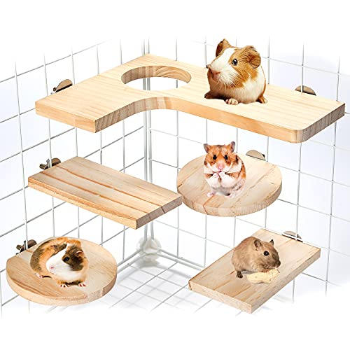 Hamsterkäfig Zubehör Holzplattform Chinchilla L-Form rundes Loch Holz-Spielplattform, 5 Stück Holz-Pedal-Spielzeug, geeignet für Eichhörnchen, Rennmäuse von X-pet