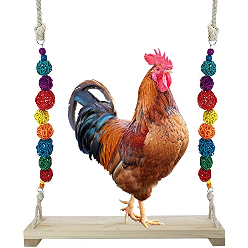 Vogelschaukeln Hühnerschaukel aus Natürlichem Holz, Spielzeug Sitzstangen Vogelspielplatz ür Hühner Papageien, Aras und Große Vögel Vogelschaukeln Hühnerschaukel aus Natürlichem Holz, Spielzeug Sitzstangen Vogelspielplatz ür Hühner Papageien, Aras und Große Vögel von QIODAZOO