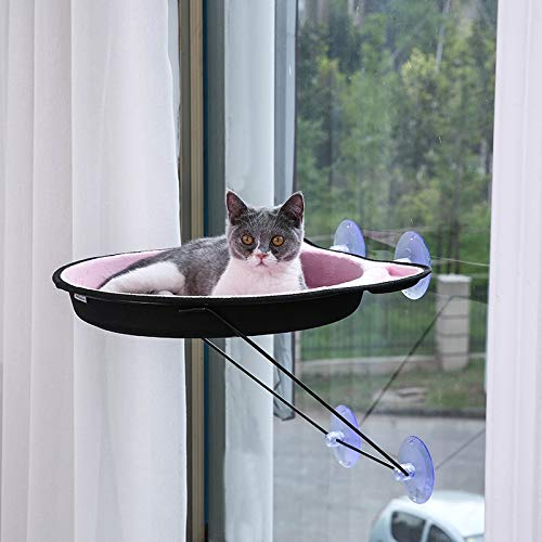 XACIUESD Niedliche Haustier-Hängebetten Katze sonniger Sitz Fensterhalterung Haustier Katzen Hängematte Bequemes Katzenhaustierbett EVA Weiches Haustierbett (Farbe: Originalverpackung) von XACIUESD