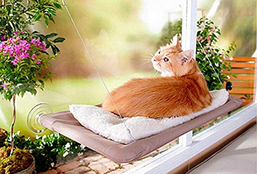 XACIUESD Cute Pet hängend Betten Katze Hängematte Fenster montiert mit Saug-Bett-Sofa-Matten Kissen Hanging Shelf Sitz (Color : A, Size : One Size) von XACIUESD