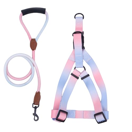 Haustier-Trainingsgeschirr und Leine, Set mit Brust-Trainingsseil, Schnellentriegelung, EasyControl, Leine für Hunde von XAGMODSHN