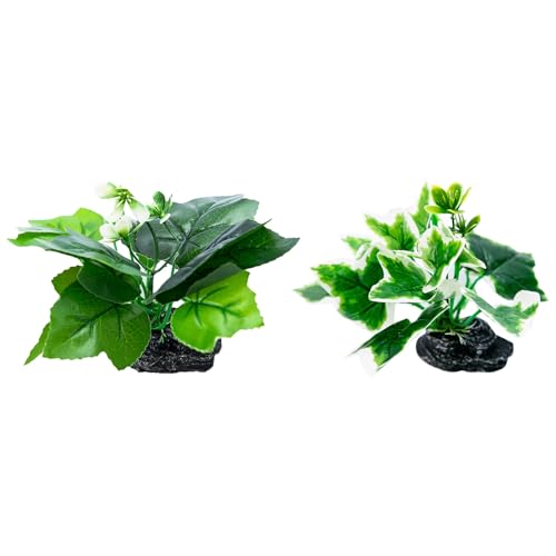 XAGMODSHN Aquarien Landschaft Gras Harze Aquarien Dekorationen Kunst Terrarium Lebensraum Ornamente Foto Requisiten XAGMODSHN Aquarien Landschaft Gras Harze Aquarien Dekorationen Kunst Terrarium Lebensraum Ornamente Foto Requisiten von XAGMODSHN