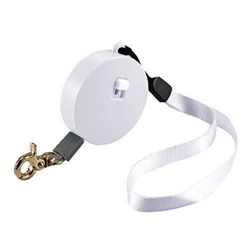 XAGMODSHN Automatische flexible Hundeleine für kleine Hunde, Katzen, Welpen, einziehbar, 2 m XAGMODSHN Automatische flexible Hundeleine für kleine Hunde, Katzen, Welpen, einziehbar, 2 m von XAGMODSHN