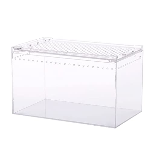 XAGMODSHN Box Fütterung für kleine Haustiere, gehörnte Eidechsen, Schnecke, Schnecke, durchsichtig, für Seidenraupen, Schlangenhaus XAGMODSHN Box Fütterung für kleine Haustiere, gehörnte Eidechsen, Schnecke, Schnecke, durchsichtig, für Seidenraupen, Schlangenhaus von XAGMODSHN