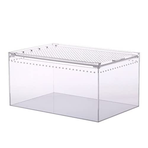 XAGMODSHN Box Fütterung für kleine Haustiere, gehörnte Eidechsen, Schnecke, Schnecke, durchsichtig, für Seidenraupen, Schlangenhaus von XAGMODSHN