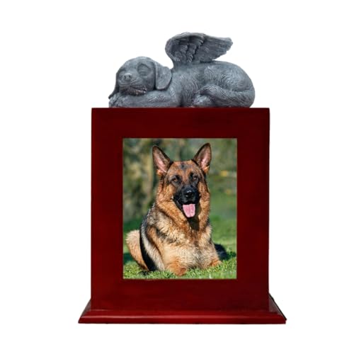 XAGMODSHN Holzurne für Asche, Hundebeerdigung, Gedenkurne für Asche, Gedenkurnen an Liebe, Beerdigung, Einäscherung XAGMODSHN Holzurne für Asche, Hundebeerdigung, Gedenkurne für Asche, Gedenkurnen an Liebe, Beerdigung, Einäscherung von XAGMODSHN