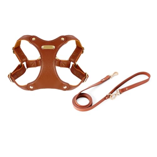XAGMODSHN Hundegeschirr für kleine Hunde, Lederweste, Geschirr, Outdoor-Trainingsweste, Geschirr, verstellbare Weste für Hunde und Haustiere XAGMODSHN Hundegeschirr für kleine Hunde, Lederweste, Geschirr, Outdoor-Trainingsweste, Geschirr, verstellbare Weste für Hunde und Haustiere von XAGMODSHN