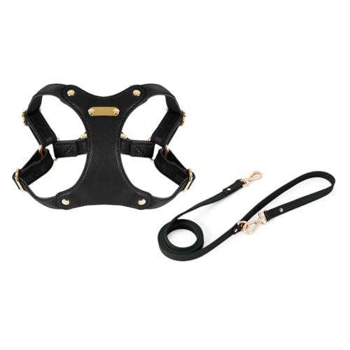XAGMODSHN Hundegeschirr für kleine Hunde, Lederweste, Geschirr, Outdoor-Trainingsweste, Geschirr, verstellbare Weste für Hunde und Haustiere XAGMODSHN Hundegeschirr für kleine Hunde, Lederweste, Geschirr, Outdoor-Trainingsweste, Geschirr, verstellbare Weste für Hunde und Haustiere von XAGMODSHN