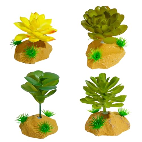 XAGMODSHN Reptilien Pflanzen Verstecken Gras Flexible Blätter Terrarium Succulents Habita Für Eidechsen Schlangen Dekorativ Falsch Künstlich Für Reptilien XAGMODSHN Reptilien Pflanzen Verstecken Gras Flexible Blätter Terrarium Succulents Habita Für Eidechsen Schlangen Dekorativ Falsch Künstlich Für Reptilien von XAGMODSHN