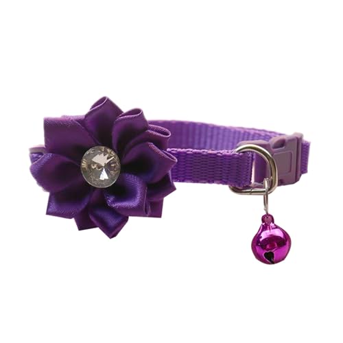 XANHOY Hochzeitshalsband mit Kristall für kleine, mittelgroße Mädchen, Hunde, Hundehalsband, Halskette, Hochzeitskostüme XANHOY Hochzeitshalsband mit Kristall für kleine, mittelgroße Mädchen, Hunde, Hundehalsband, Halskette, Hochzeitskostüme von XANHOY