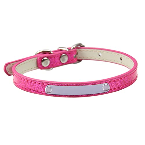 XANHOY Katzenhalsband für kleine Hunde, Katze verstellbar mit und Name Telefonnummer Welpenhalsband XANHOY Katzenhalsband für kleine Hunde, Katze verstellbar mit und Name Telefonnummer Welpenhalsband von XANHOY