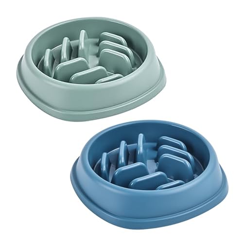 XBOGO Slow Feeder Hundenäpfe, 2er-Pack, Rutschfester Hundenapf für langsames Fressen, Maze-Hundefutternapf, Slow Feeder-Napf für Haustiere Aller Rassen (Grün & Blau) von XBOGO