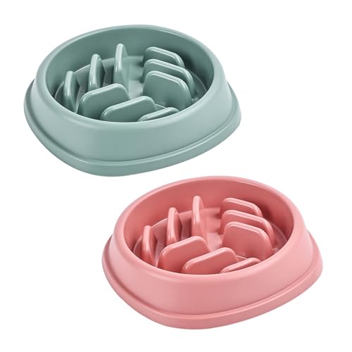 XBOGO Slow Feeder Hundenäpfe, 2er-Pack, Rutschfester Hundenapf für langsames Fressen, Maze-Hundefutternapf, Slow Feeder-Napf für Haustiere Aller Rassen (Grün & Pink) von XBOGO