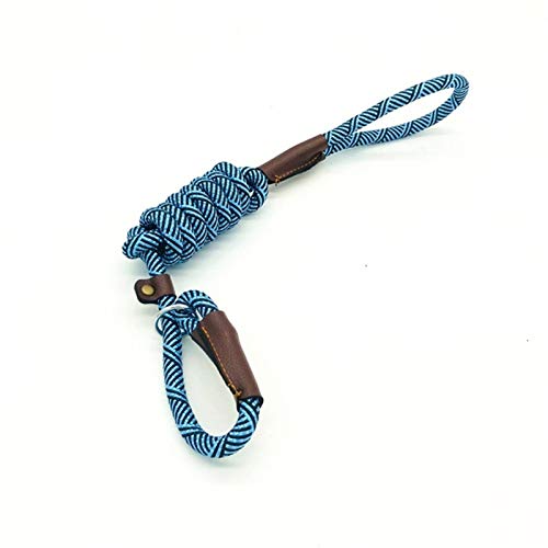 Durable Schlupf Seil Hundeleine Halsband 2 In 1 Einstellbare Schleifenkragen Comfortable Kleine Meidum Großer Fressnapf Geschirr-Leine BB (Color : Blue, Size : S 1.2M) von XCHJY