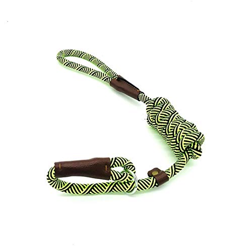 Durable Schlupf Seil Hundeleine Halsband 2 In 1 Einstellbare Schleifenkragen Comfortable Kleine Meidum Großer Fressnapf Geschirr-Leine BB (Color : Green, Size : S 1.2M) von XCHJY