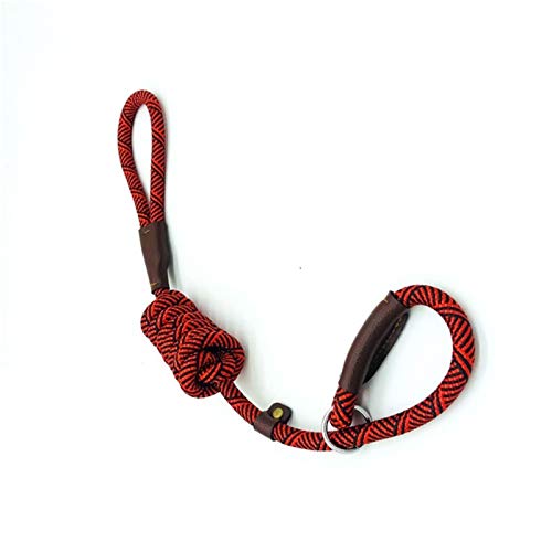 Durable Schlupf Seil Hundeleine Halsband 2 In 1 Einstellbare Schleifenkragen Comfortable Kleine Meidum Großer Fressnapf Geschirr-Leine BB (Color : Red, Size : L 1.8M) von XCHJY