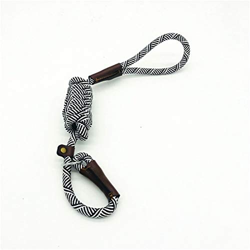 Durable Schlupf Seil Hundeleine Halsband 2 In 1 Einstellbare Schleifenkragen Comfortable Kleine Meidum Großer Fressnapf Geschirr-Leine BB (Color : White, Size : L 1.8M) von XCHJY