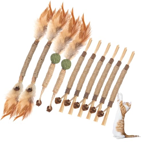 XCRPRT Katzenminze Sticks, Kausticks für Katzen 10 Stück, Kaustangen Katze für Katzen Zahnpflege & Gegen Mundgeruch Natürlich Sicher Katzen Kaustangen von XCRPRT