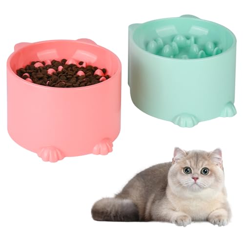 XCRPRT Katzennapf,Futternapf Katze 2 Stück,Katzenschüssel Wasser Fütterung Schüssel Fressnapf Katze Futternapf Bunt Katzenfutter Napfset Geeignet für die Fütterung von Haustieren XCRPRT Katzennapf,Futternapf Katze 2 Stück,Katzenschüssel Wasser Fütterung Schüssel Fressnapf Katze Futternapf Bunt Katzenfutter Napfset Geeignet für die Fütterung von Haustieren von XCRPRT