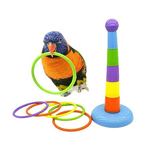 XCSM Pet Birds Toys Set Ferrule Game Plastikringe Bird Training Toys Papagei Intelligenz Spielzeug Höhe Verstellbarer Wurfring für kleine mittlere Sittiche Nymphensittich Conure Zufällige Farbe von XCSM