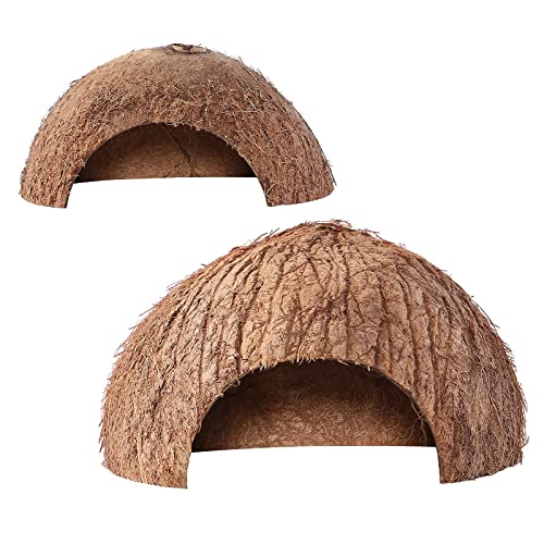 XCSSKG Hermit Krabbe Kletterspielzeug – Kokosnussschale, natürliche Hütte, Reptilienversteck – Eidechse, Leopard, Spinnen, Schlange und Fischversteck Höhle XCSSKG Hermit Krabbe Kletterspielzeug – Kokosnussschale, natürliche Hütte, Reptilienversteck – Eidechse, Leopard, Spinnen, Schlange und Fischversteck Höhle von XCSSKG