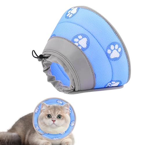 Halskrause Katze Halskrause Katze Weich Einstellbarer Katzen Halskrause Faltbaren Katzenkragen Halskrausen für Katzen, Schützen Sie die Wunde, Nach Operationen und Verletzungen (Blau, M) von XDGBGFN