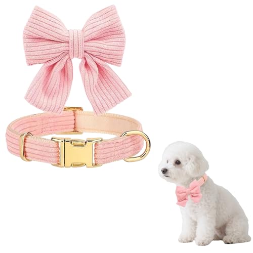 Niedliches Hundehalsband mit Fliege, verstellbar, Baumwolle, weich, abnehmbare Schleife für kleine, mittelgroße Hunde, Hochzeit, Party, Alltag, Mode-Accessoires (Rosa) von XDGBGFN