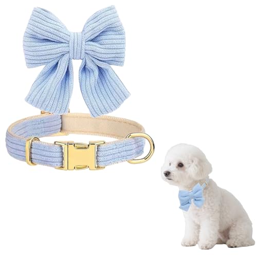 Niedliches Hundehalsband mit Fliege, verstellbar, Baumwolle, weich, abnehmbare Schleife für kleine, mittelgroße Hunde, Hochzeit, Party, Alltag, Mode-Accessoires (blau) von XDGBGFN