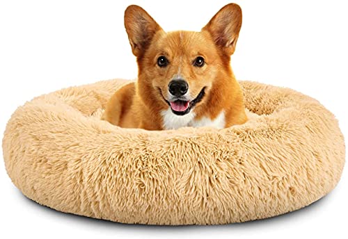 Rundes Plüsch-Katzen-Hundebett, Waschbares Flauschiges Haustierbett Für Große Mittelgroße Small Hunde (XL(75 ×75 × 18cm),Beige) von XDKS