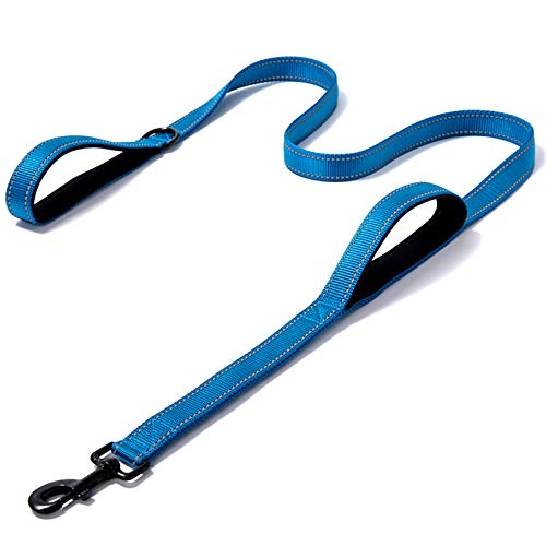 XDKS Hundeleine, stärkerer Clip, gepolsterte zwei Griffe, doppelte Griffe, Leine für Kontrollsicherheitstraining, Leinen für große Hunde oder mittelgroße Hunde (blau, 150 cm) von XDKS