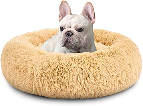 XDKS Rundes Plüsch-Katzen-Hundebett, Waschbares Flauschiges Haustierbett Für Große Mittelgroße Small Hunde (L(59 × 59 × 18cm),Beige) von XDKS