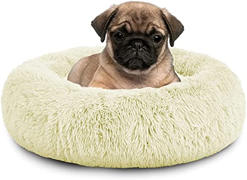 XDKS Rundes Plüsch-Katzen-Hundebett, Waschbares Flauschiges Haustierbett Für Große Mittelgroße Small Hunde (L(59 × 59 × 18cm),Weiß) von XDKS