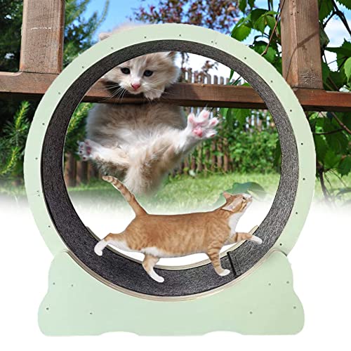 Cat Wheel, Cat Wheel Exercise, Cat Wheel Laufband Mit Teppichlaufbahn, Leises Cat Running Riesenrad, Cat Wheel Exerciser Für Indoor-Katzen,Green-XL von XDLYWUZIQ